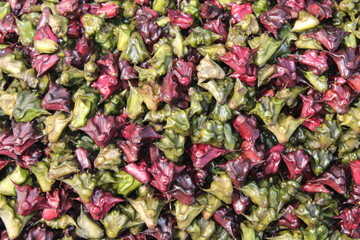 water caltrop background and many colour full water caltrop.. It is also known as water chestnut, buffalo nut, bat nut, devil pod, ling nut, lin kok, ling jow, ling kio nut, mustache nut or singhada.