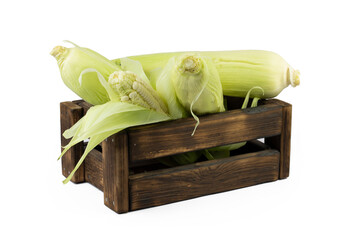 White corn in wooden box on white isolated  background
