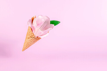 Summer minimal levitating concept. flying Ice Cream cone with pink tulip flowers on pink background. Creative spring Minimal concept for birthday, valentines or wedding day.