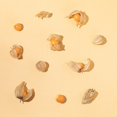 Golden physalis inca berry fruit, hidden in husk and open