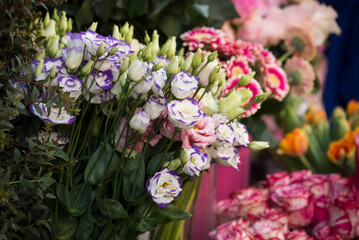 closeup of purple and pink  roses bouquet at the florist in the street