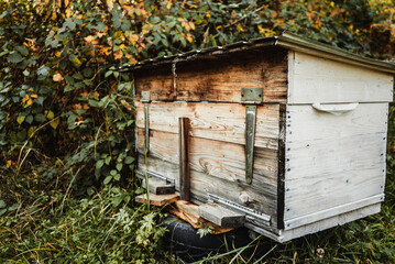 wooden colored hive for bees and honey stand in an apiary in the garden 2