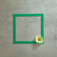 Green square frame and one white flower on a gray concrete background. Text space. Top view. Minimal style.