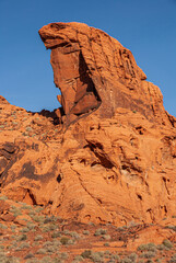 Fototapeta na wymiar Overton, Nevada, USA - December 11, 2010: Valley of Fire. Portrait featuring Lizard red rock above rocky outcrop under blue sky and dry green short bushes spread around.