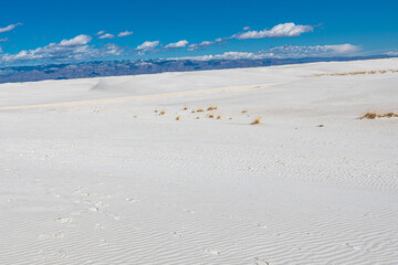 The dunes in White Sands National Park