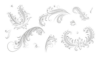 Vector illustration Set with floral ornamental graphic elements