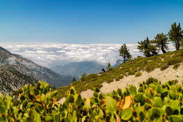 Fototapeta premium Sunny view of the landscape around Mt. Baldy Trail