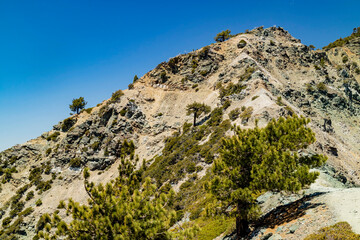 Sunny view of the landscape around Mt. Baldy Trail