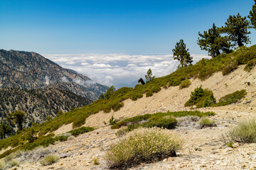 Sunny view of the landscape around Mt. Baldy Trail