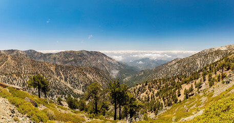 Fototapeta na wymiar Sunny view of the landscape around Mt. Baldy Trail