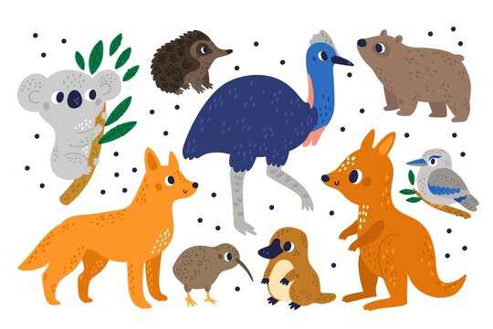 Cute Australian exotic animals. Cartoon marsupial mammals and birds. Strange characters. Kiwi and kookaburra. Kangaroo or wombat. Ostrich koala and platypus. Dingo dog. Vector fauna set