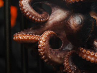 Sea food. Big whole octopus grilled. Macro shot. The concept is cooking seafood dishes. Healthy...