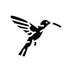 colibri bird glyph icon vector. colibri bird sign. isolated contour symbol black illustration