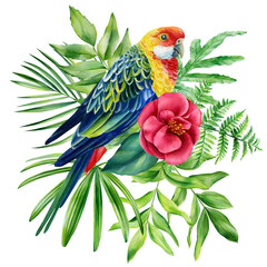 Parrot and palm leaves on isolated white background, watercolor illustration. Jungle clipart