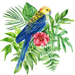 Parrot and palm leaves on isolated white background, watercolor illustration. Jungle clipart