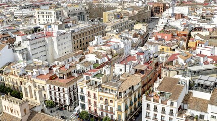 Fototapeta premium la ville de Séville vue depuis les hauteurs de la cathédrale avec ses toits, ses rues et ses églises