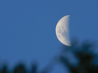 Blue Sky Moon