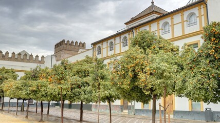 Fototapeta na wymiar palais de l'Alcazar de Séville, jardin et pavillon en Andalousie détails de l'architecture arabo-andalouse