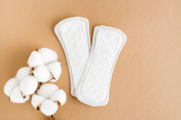 Two clean disposable sanitary pads and a branch of cotton on a beige background. Women's health and comfort concept. Top view
