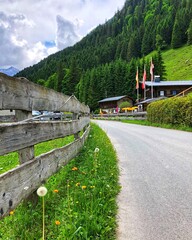 mountain road in the mountains