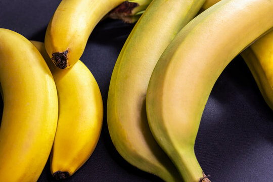 Photo Of Fresh Bunch Of Bananas · Free Stock Photo