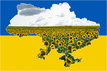 Nahrungsmittelkrise durch den Angriffskrieg von Russland auf die Ukraine, auch Sonnenblumenöl...