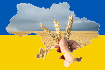 Nahrungsmittelkrise durch den Angriffskrieg von Russland auf die Ukraine. Frühjahrsbestellung und...