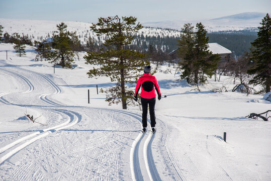 Woman cross country skiing in Lapland Finland