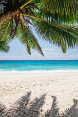 Fototapeta na wymiar Tropical beach with palm trees
