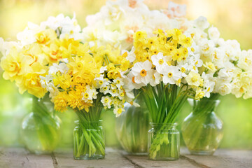 Springtime blooming yellow, white and apricot color daffodils, spring blossoming narcissus (jonquil) flowers bouquet background, selective focus, shallow DOF - obrazy, fototapety, plakaty