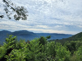 sítio com mata virgem nas montanhas