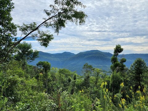 s&iacute;tio com mata virgem nas montanhas