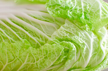 Macro shot of chinese cabbage, vegetable texture background.