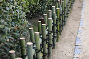 整えられた竹生垣の通路