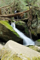 waterfall in the forest