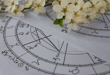 Close up of printed astrology charts with Jupiter planet, spring flowers branch in the background