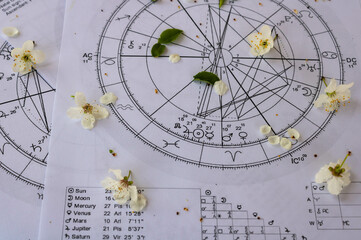 Printed astrology charts with Jupiter, Mercury, Sun, Mars and Venus planets and scattered small...