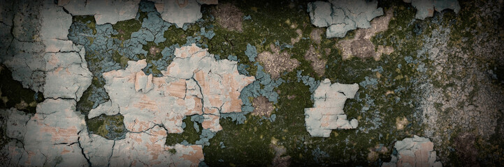 Fototapeta premium Peeling paint on the wall. Panorama of a concrete wall with old cracked flaking paint. Weathered rough painted surface with patterns of cracks and peeling. Wide panoramic grunge texture for background
