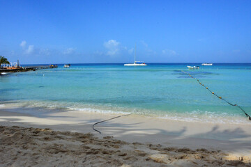 Bayahibe, la Romana, Dominican Republic - Beach on the Caribbean shore and palm trees