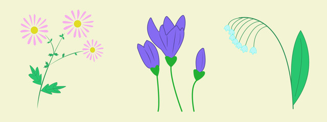 Fototapeta na wymiar Vector drawing of spring flowers lily of the valley, crocus, chamomile
