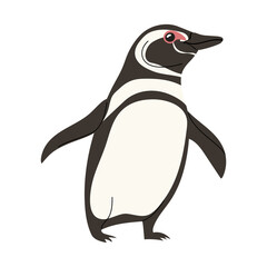 Magellan penguins vector isolated on white background. Bird character. Flat style illustration