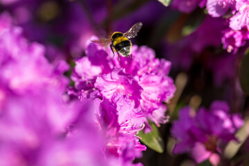 Spring feeling