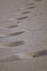 Foot prints in the black icelandic sand. Black sand on the beach in Iceland. Partial focused surface of black volcanic sand, with beautiful bokeh. Waves in the black sand in mid-day sun.