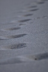 Foot prints in the black icelandic sand. Black sand on the beach in Iceland. Partial focused surface of black volcanic sand, with beautiful bokeh. Waves in the black sand in mid-day sun.