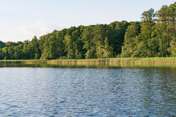 Landscape image of a forest lake