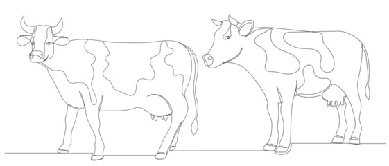 cows drawing by one continuous line, isolated vector