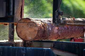 the sawmill is brought to the customer's site and the customer's own trees are cut to size upon...