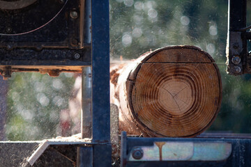 Mobile outdoor log sawing equipment. Mobility and working speed.