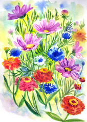 Summer flowers in a flower bed: cosmos, cornflowers, zinnias, watercolor illustration, print for poster and other designs.