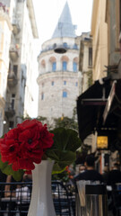 Carnations on a porcelain vase. Galata tower in the background. Close up.